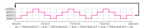 Program automatik D